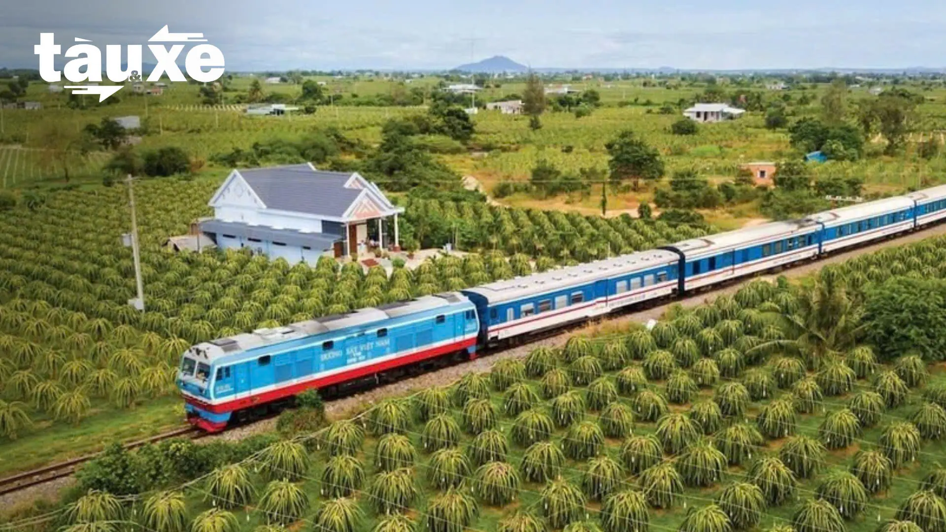 Ngành đường sắt tăng 51 chuyến tàu dịp Quốc khánh 2/9 | Bản tin Tàu và Xe | 22/08/2025